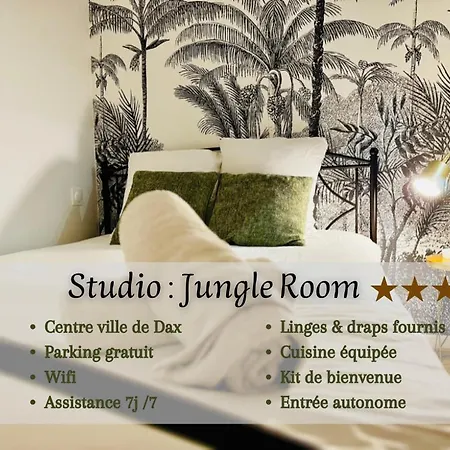 Jungle Room, Centre Ville Dax Buitenkant foto
