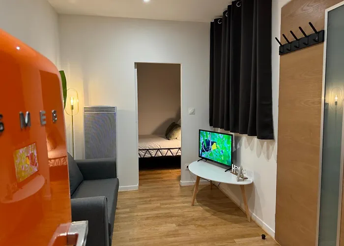 Jungle Room, Centre Ville Dax